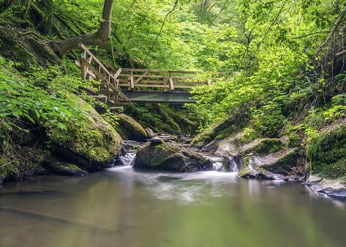 Apartment *traumschleife Marienberg* *