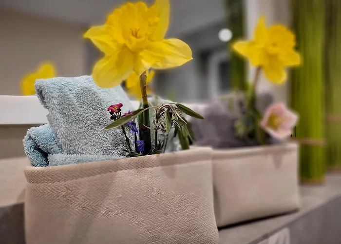 Apartment *traumschleife Marienberg* *